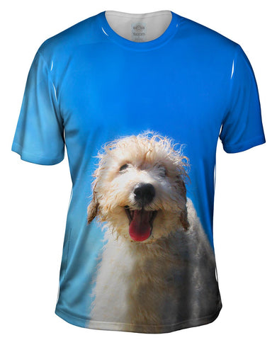 Blue Sky Poodle