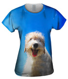 Blue Sky Poodle