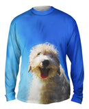 Blue Sky Poodle