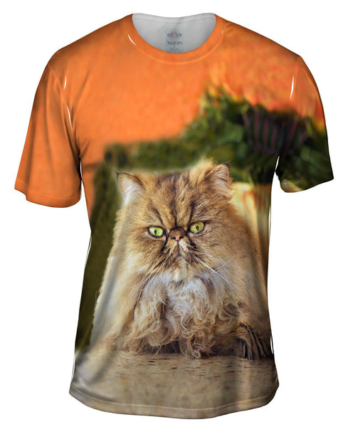 Furball Kitten&nbsp;Mens T-Shirt