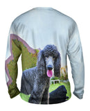 Poodle And Friend