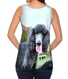 Poodle And Friend