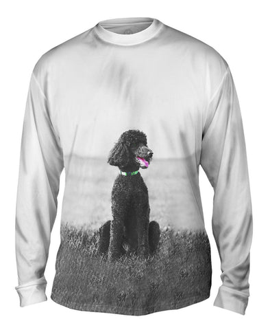 50S Poodle