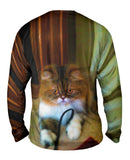 Fall Soft Kitty Cat