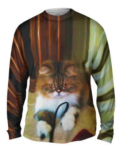 Fall Soft Kitty Cat
