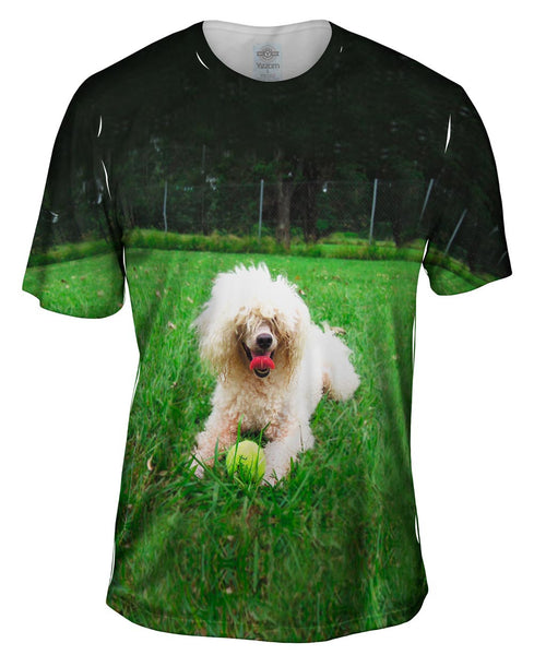 Shaggy Haired Poodle Mens T-Shirt