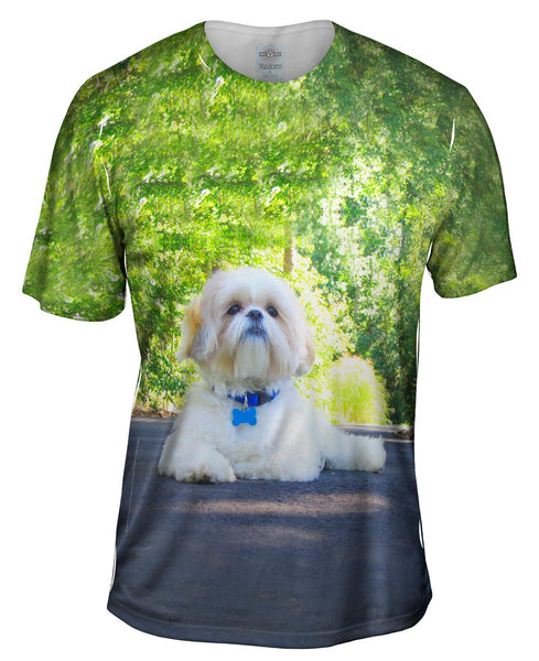Poodle On Highway Mens T-Shirt