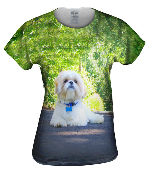 Poodle On Highway Womens Top