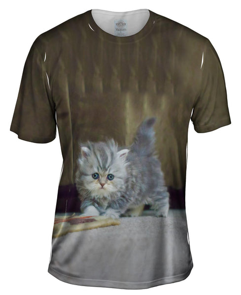 Small And Fuzzy Kitten Mens T-Shirt