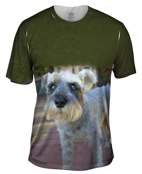 Curious Schnauzer&nbsp;Mens T-Shirt