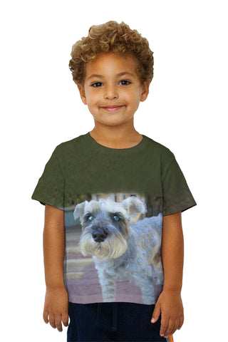 Kids Curious Schnauzer