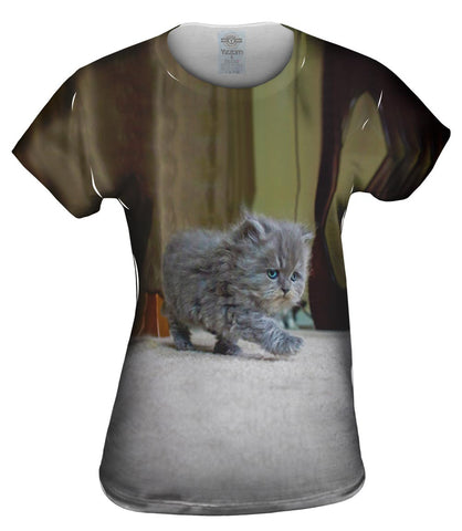 Strut Kitty Cat
