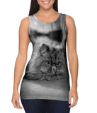 Transfixed Kitty Cat