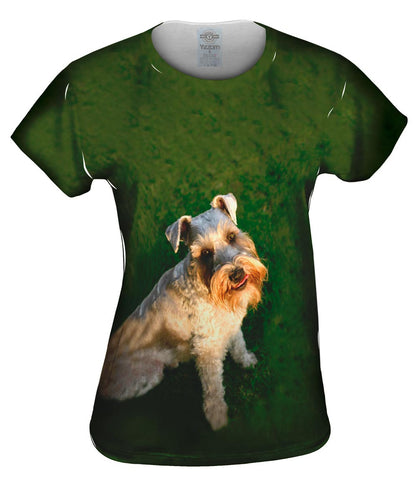 Photo Loving Schnauzer