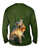 Photo Loving Schnauzer