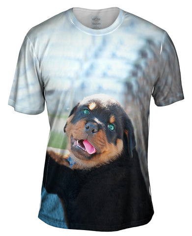 Baby Rottweiler