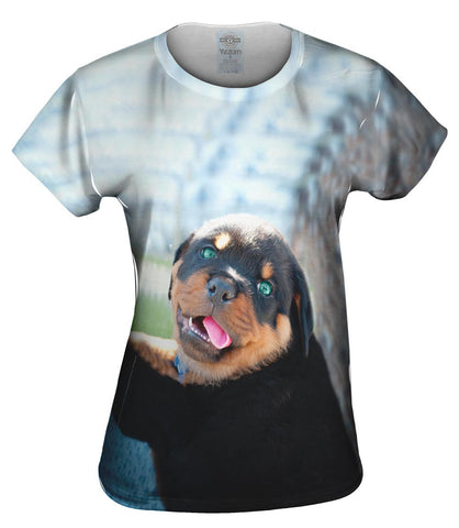 Baby Rottweiler
