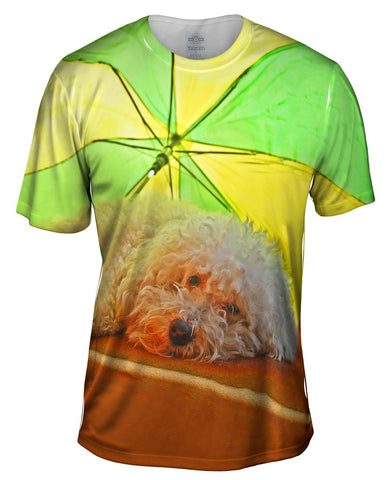 Beach Bum Poodle