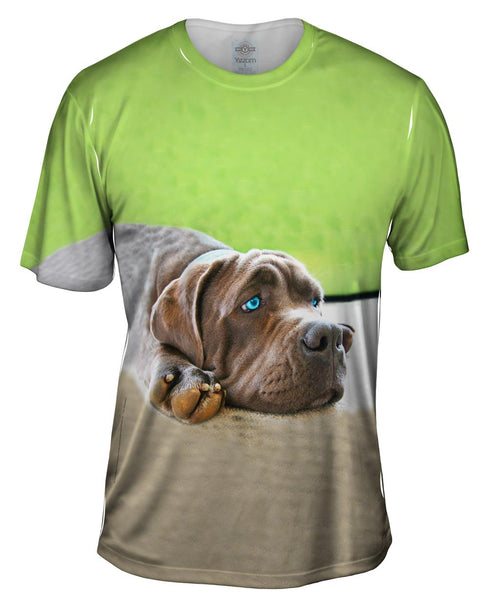 Lucy Sad Mastiff Mens T-Shirt