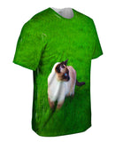 Walkabout Siamese Cat