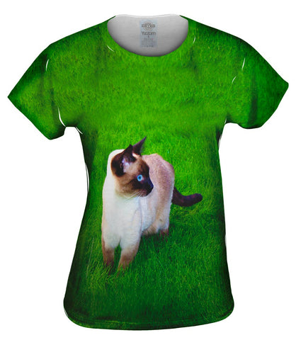 Walkabout Siamese Cat