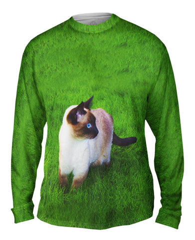 Walkabout Siamese Cat