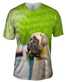 Sad Face Mastiff