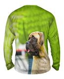 Sad Face Mastiff