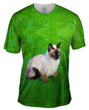 Tranquil Siamese Cat