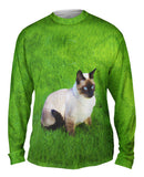 Tranquil Siamese Cat
