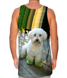 Green Feet Poodle