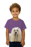 Kids Long Haired Maltese Beauty