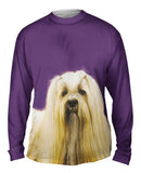 Long Haired Maltese Beauty