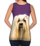 Long Haired Maltese Beauty