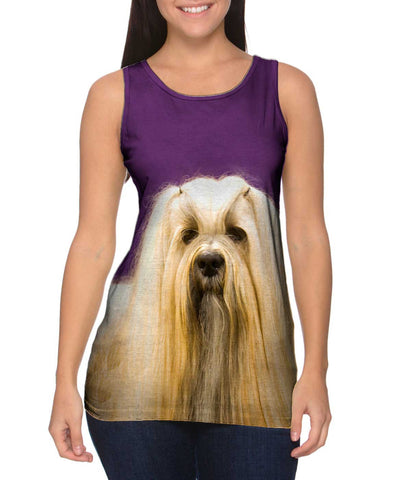 Long Haired Maltese Beauty