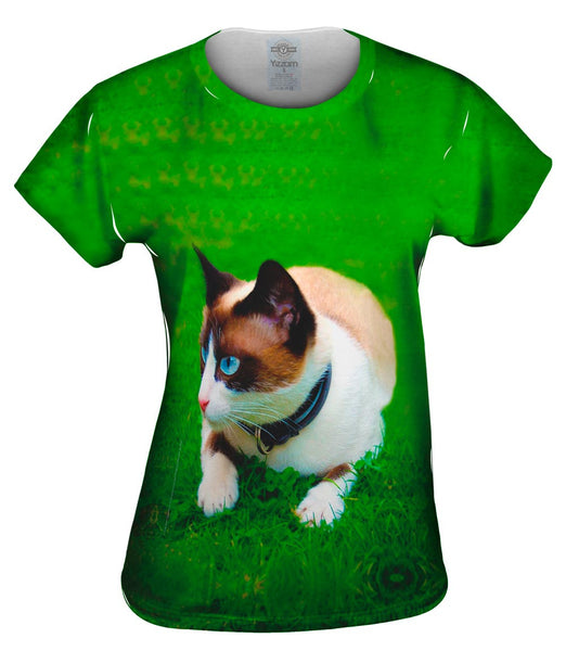 Ready To Pounce House Cat Womens Top