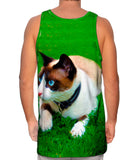 Ready To Pounce House Cat