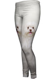 White Wash Maltese