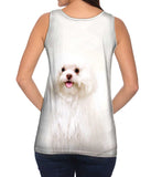 White Wash Maltese