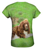 Lazy Cocker Spaniel