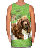 Lazy Cocker Spaniel