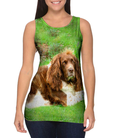 Lazy Cocker Spaniel
