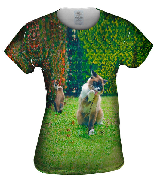 Clean Paw Cat Womens Top