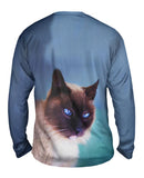 Watchful Eyes Siamese Cat