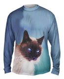 Watchful Eyes Siamese Cat