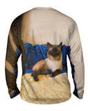 Comfy Cat
