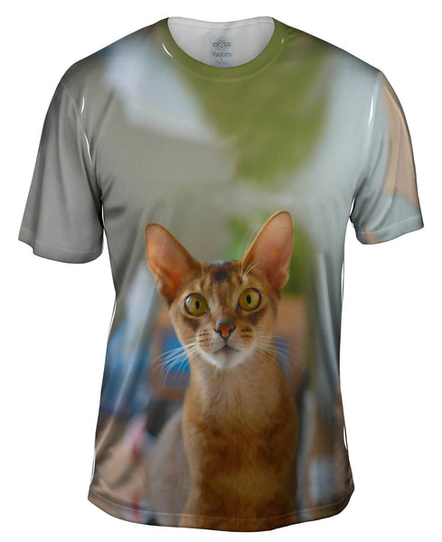 Big Eyed Brow Cat Mens T-Shirt