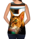 What Happened Cat