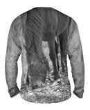 Grazing Horse