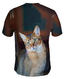 Confused Cat